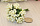 Тычинки для цветов "зелень аралии", букетик 12 шт (20080 молочный)