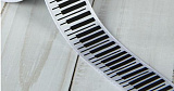 Лента атласная «Клавиши», 25 мм × 22 ± 1 м, цвет чёрный/белый №01